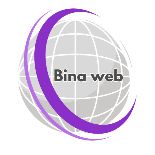 موسسه بینا تجارت پایتخت